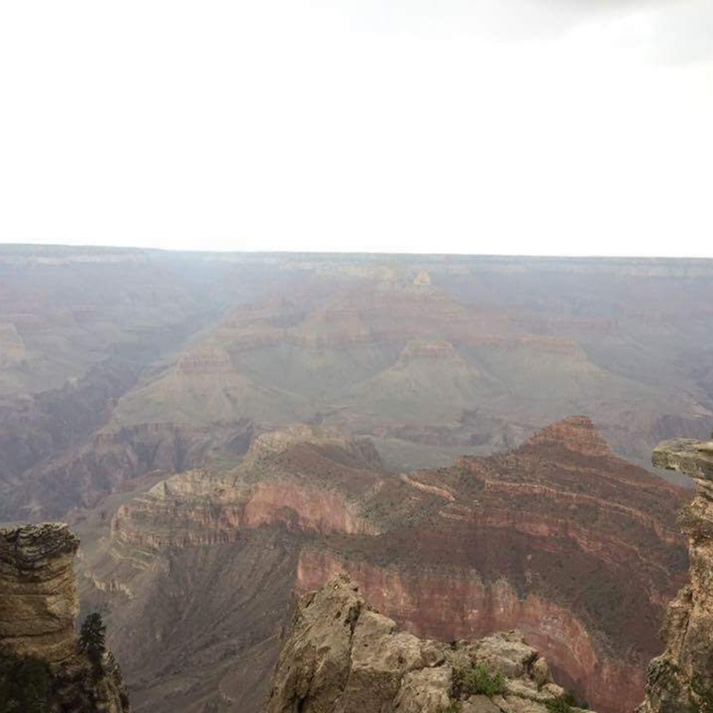 Meet your Posher, Angie